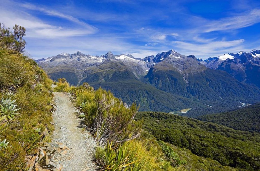 Gorgeous View of Hollyford Valley on Routeburn Track
