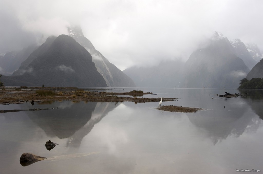 milford and doubtful sound
