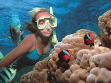 Great Barrier Reef Cruise, Port Douglas, Australia
