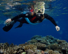 Great Barrier Reef Snorkeling, Cairns, Australia