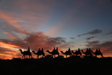 Camel to Sunrise, Ayers Rock, Australia