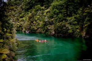 Kayaking Abel Tasman New Zealand