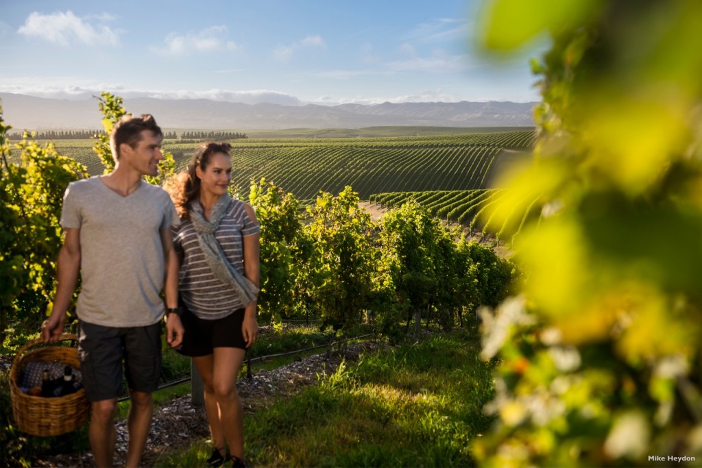 Waiheke Island Wineries