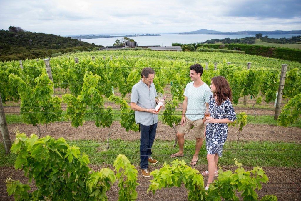 Waiheke Island Wineries