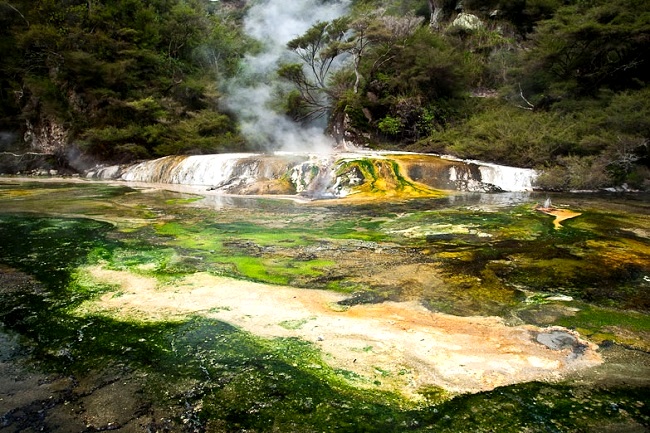 Waimangu Geothermal Region New Zealand Volcanoes