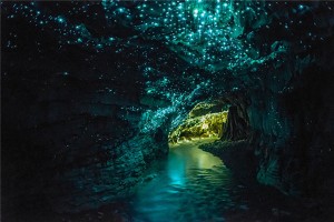 Overseas Adventure Travel Glow Worm Caves New Zealand
