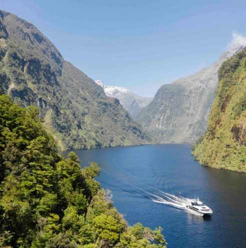 Doubtful Sound Credit RealNZ