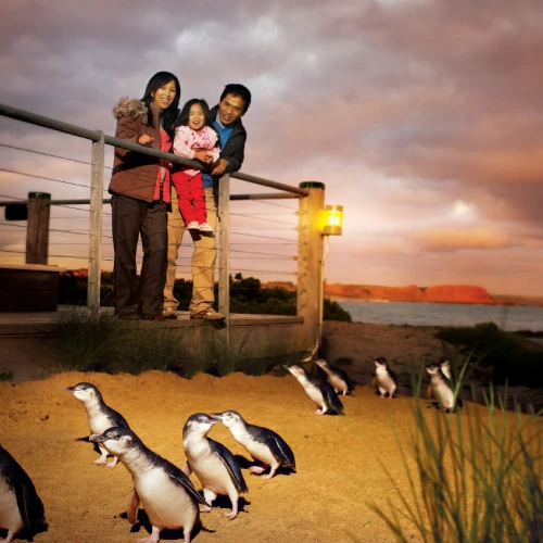 Phillip Island Nature Park