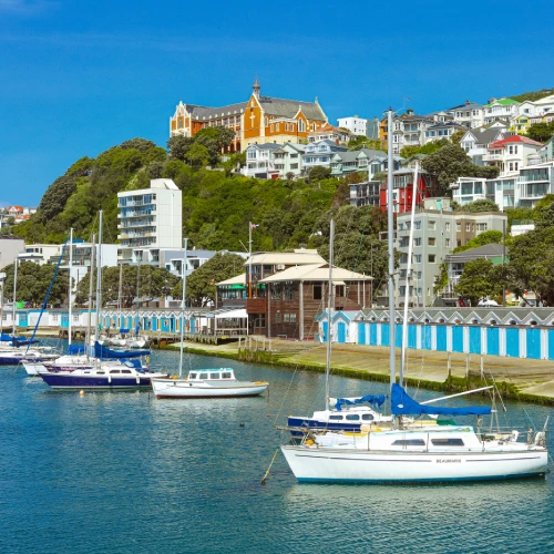 Wellington Boat Sheds. Photo Credit: Wellington NZ, Celeste Fontein